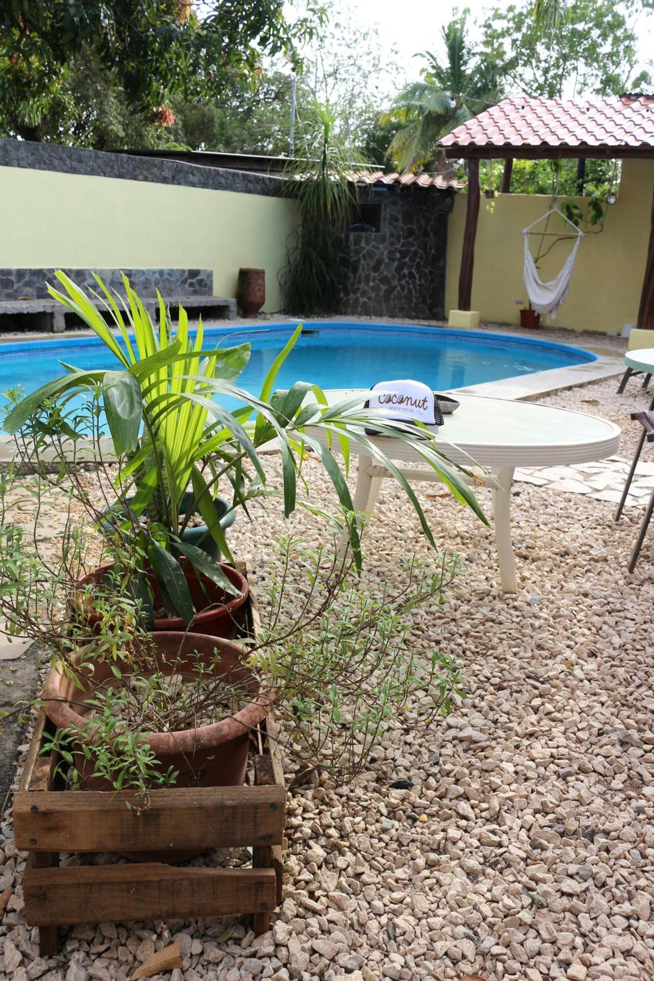Coconut Beach House Playa Conchal Εξωτερικό φωτογραφία